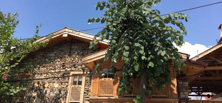 Ormana Active Berberoglu House