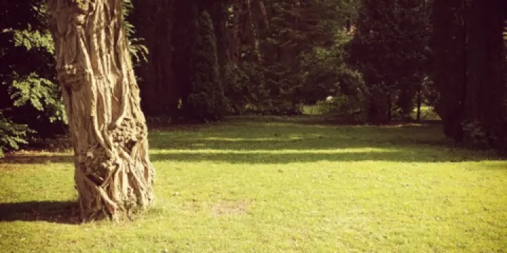 Wildthout Hotel & Restaurant