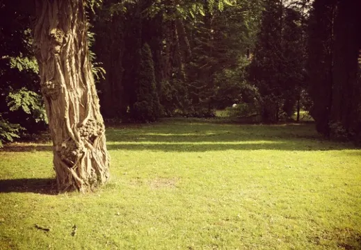 Wildthout Hotel & Restaurant