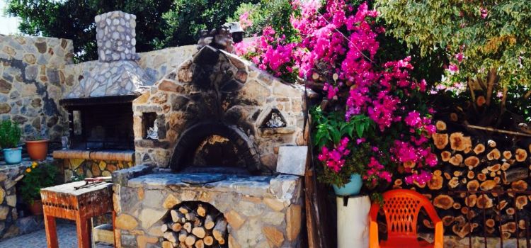Taverna Oasis