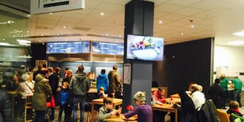 Taumi City - Asia Fusion