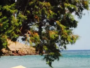 Taverna Elpidia