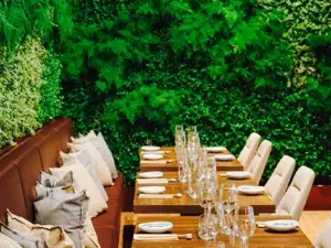 UMAMI Taste Experience