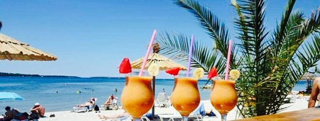 Beach Bar Shark