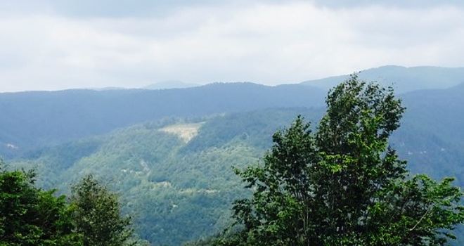 Ismail'in Yeri Mount Bolu Meat Restaurant