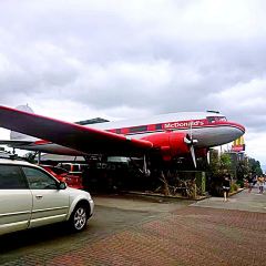 McDonald's Taupo User Photo