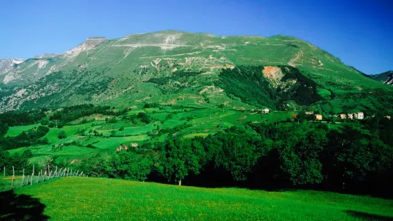 Azienda Agricola Michele. La bottega