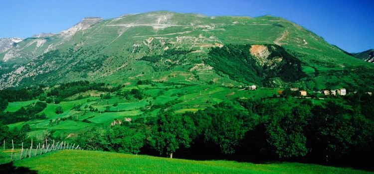 Azienda Agricola Michele. La bottega