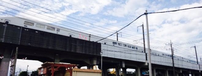 Mustard Seed Densha Shokudo