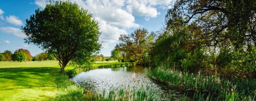 Blacknest Golf and Country Club
