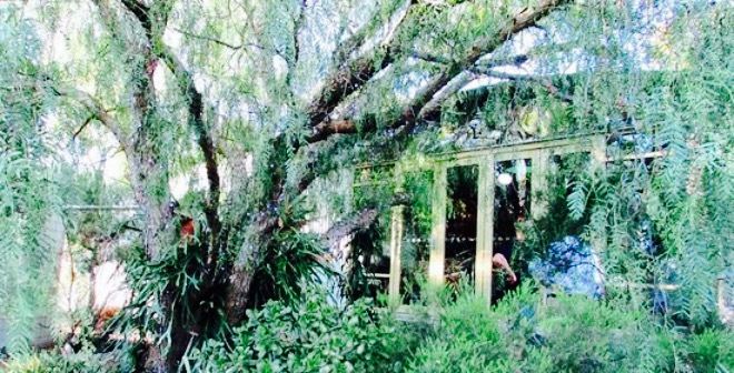Pepper Tree Cafe