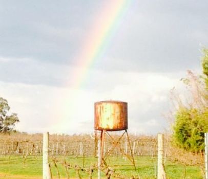 Newbliss Winery