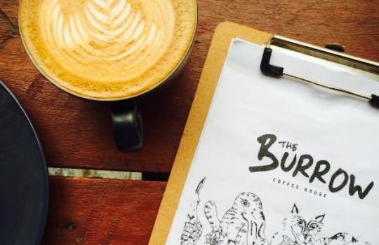 The Burrow Coffee House