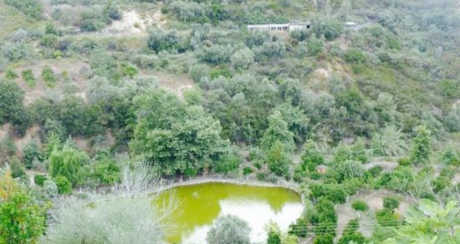 Botanical Park & Gardens of Crete Restaurant