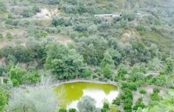 Botanical Park & Gardens of Crete Restaurant