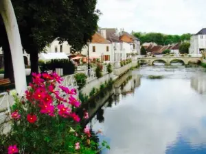 Les Berges de l'Ource