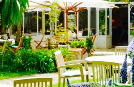 Hotel de france Restaurant les Fuchsias