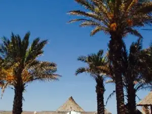 Hola Beach Club