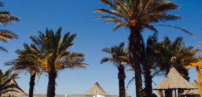 Hola Beach Club