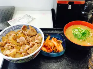 Yoshinoya Sabagawa Service Area Nobori