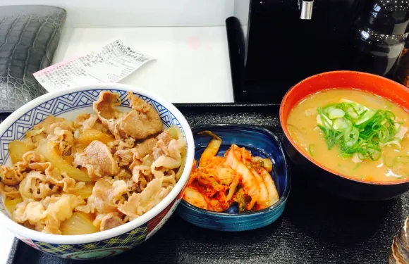 Yoshinoya Sabagawa Service Area Nobori