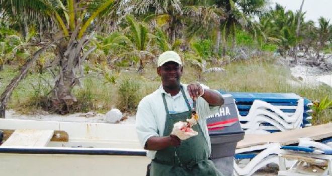 Big D's Conch Spot