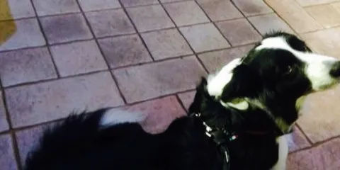 Cremeria History di Vignola