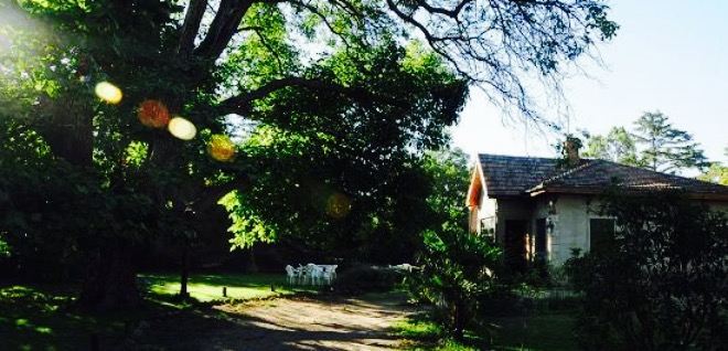 Casa de Te La Angelita
