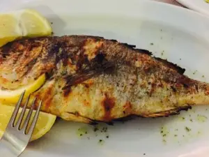 Traditional Greek Tavern Giannoulis