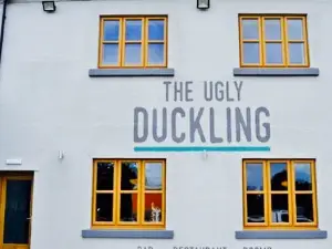 The Ugly Duckling