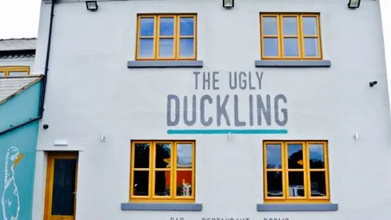 The Ugly Duckling