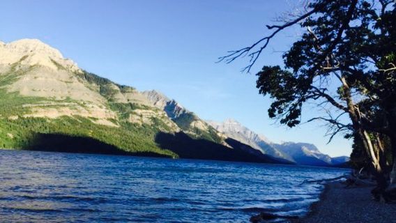 The Lakeside Chophouse at the Bayshore Inn