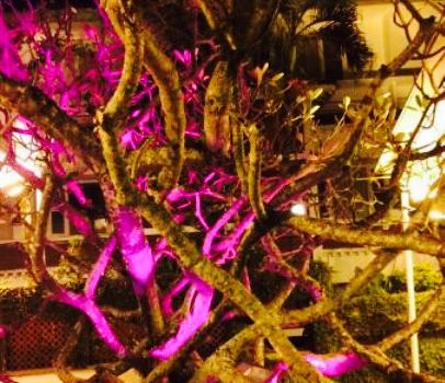 Fort Kochi Seafood Restaurant