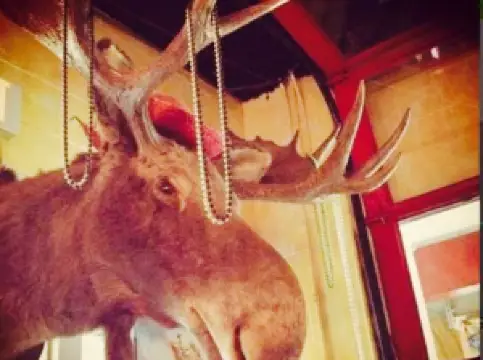 Zippy's Burritos Tacos & More