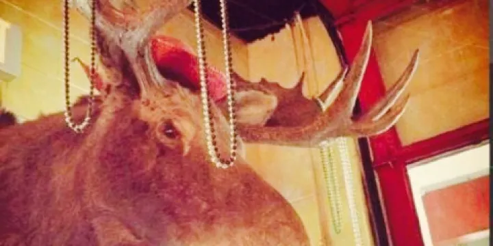 Zippy's Burritos, Tacos & More