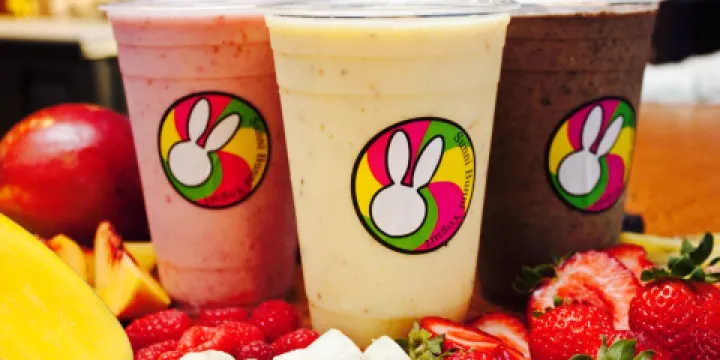 Sunnibunni Siesta Key