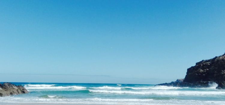 Carvalhal Beach Nature