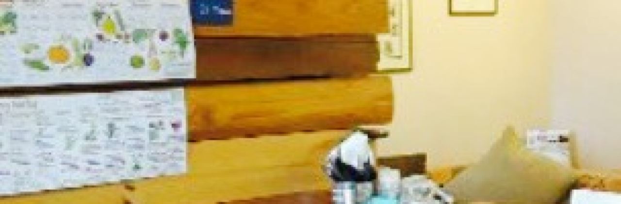 The Little Potting Shed Café