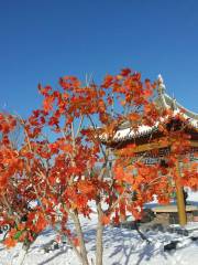 Yabuli Qing Mountain Ski Field