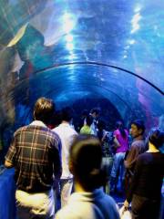 Yiwu Sea World