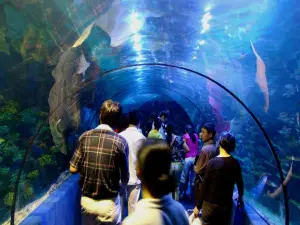 Yiwu Sea World