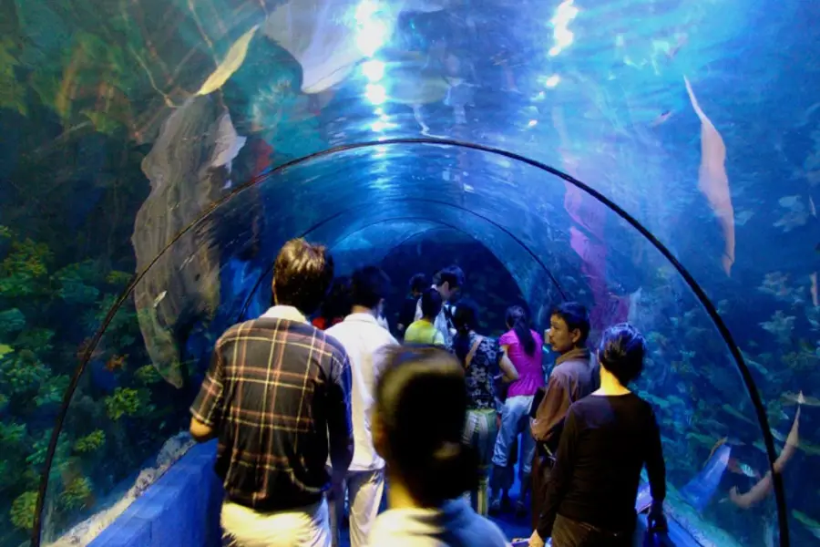 Yiwu Sea World