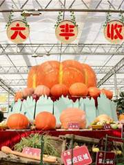 Вань Цуй Тянь Юань сельскохозяйственная карнавал