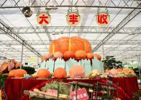 Wucai Tuanyuan Farmers Festival
