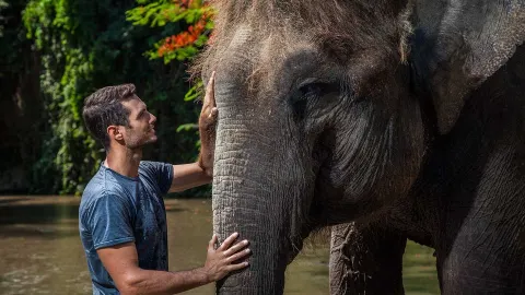 Bali Zoo attraction in Bali