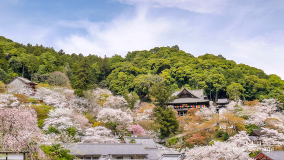 Kamakura