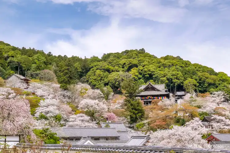 Hotels near Hasedera