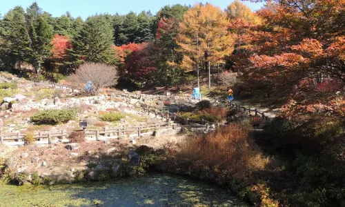 Rokkosan Pasture (Ranch)
