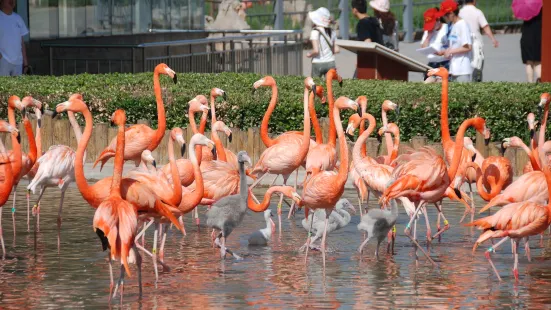 Shijiazhuang City Zoo