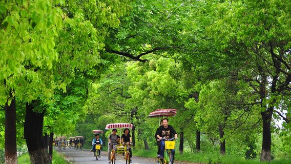 Yanguan Scenic Spots